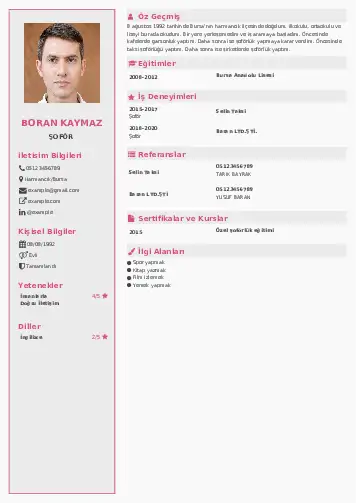 Şoför Cv Örnekleri cv indir